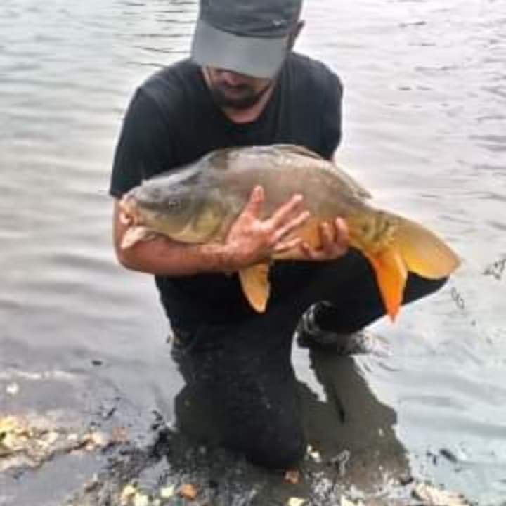 Profil de Yigit, 38 ans, Plan Cul à Brouch