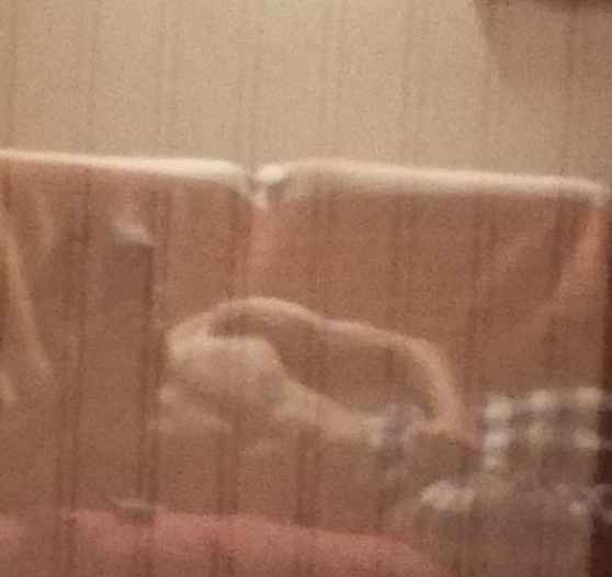 Profil de Ilhane, 23 ans, Plan Cul à Wincrange